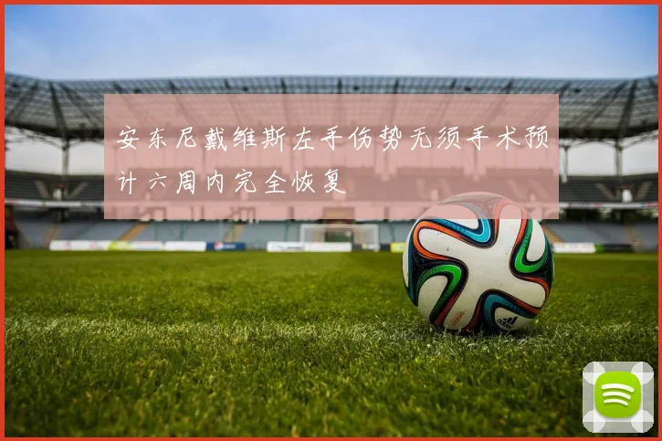 安东尼戴维斯左手伤势无须手术预计六周内完全恢复