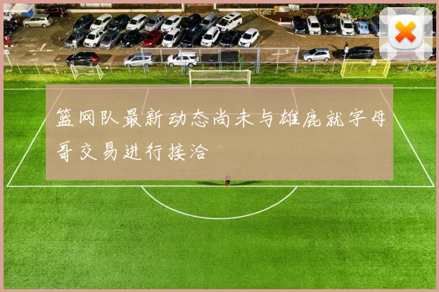 篮网队最新动态尚未与雄鹿就字母哥交易进行接洽