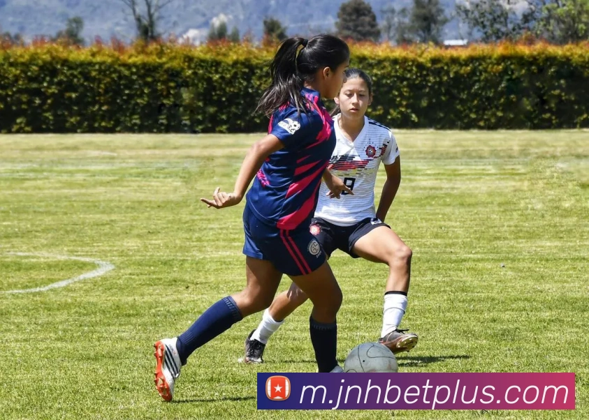 金年会APP 体育赛事宣传图